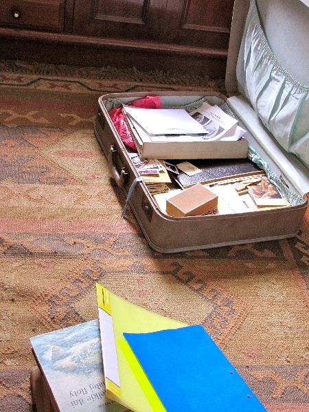 Mother's Suitcase